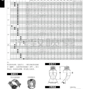 高沖擊力扇形噴嘴P系列